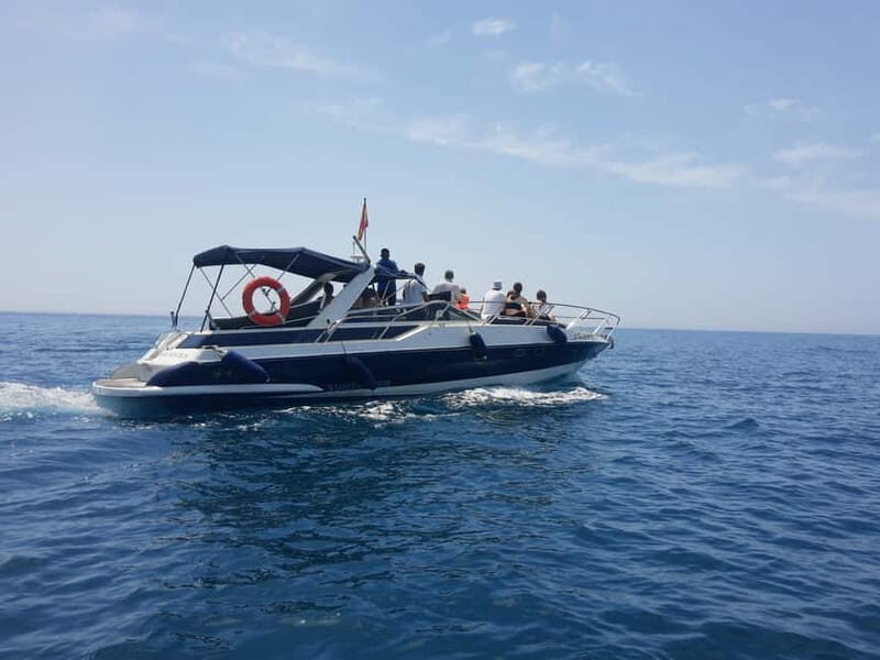 PRIVATE DOLPHIN WATCHING SUNSEEKER WITH DRINKS ON FUENGIROLA - The Sum Up