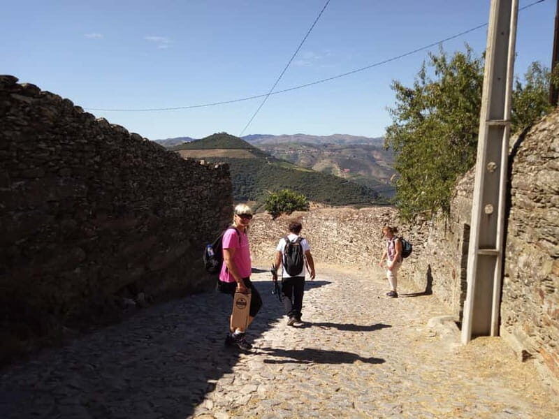 Private Douro Wine Experience - Full Day in the Douro Valley - An In-Depth Look at the Douro Wine Experience