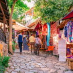 Private Ephesus and Sirince Village Tour Cruiser Only - Good To Know
