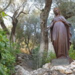 Private Ephesus Bible Study Tour From Kusadasi Cruisers Only - Why This Tour Offers Great Value