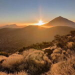 Private excursions for cruise-ship passengers - An In-Depth Look at the Mount Teide Private Excursion