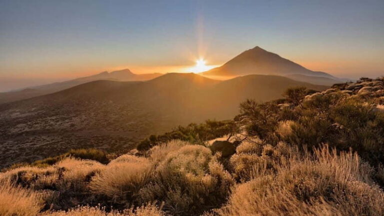 Private excursions for cruise-ship passengers - An In-Depth Look at the Mount Teide Private Excursion