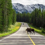 Private: Famous MOVIES + MOUNTAINS Photo Safari Drive - 4hrs - Who This Tour Is Perfect For