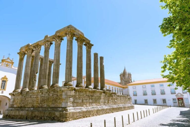 Private Full day tour from Lisbon to Evora with wine tasting - Who Will Love This Tour?