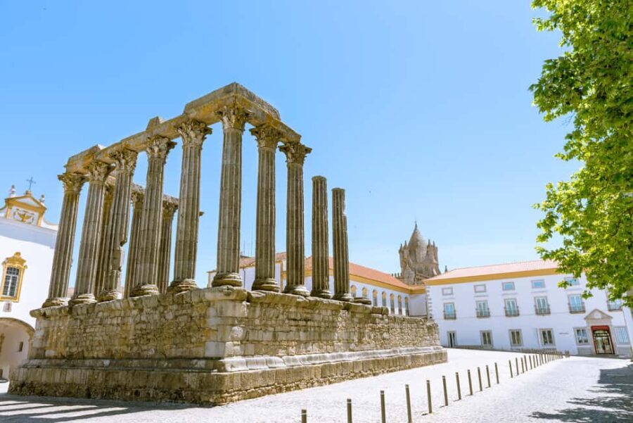 Private Full day tour from Lisbon to Evora with wine tasting - Who Will Love This Tour?