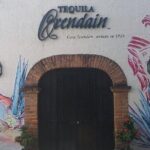 Private Full Day Tour in Guachimontones and Orendain Tequila - Authentic Insights from Reviews