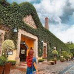 Private Full-Day Tour to Tequila Visiting Tequilera José Cuervo - Transportation, Timing, and Value