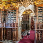 Private Guided Tour: Coimbra Best Of - Why This Tour is a Hidden Gem in Coimbra