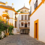 Private Guided Tour of Complete Seville and Jewish Quarter - What to Expect: Practical Details