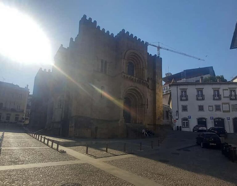 Private guided walking tour in Coimbra (8 hours) - What Makes This Tour Stand Out?