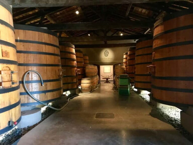 Private Half-Day Wine Tour in Citroën 2CV - Who Should Consider This Tour?