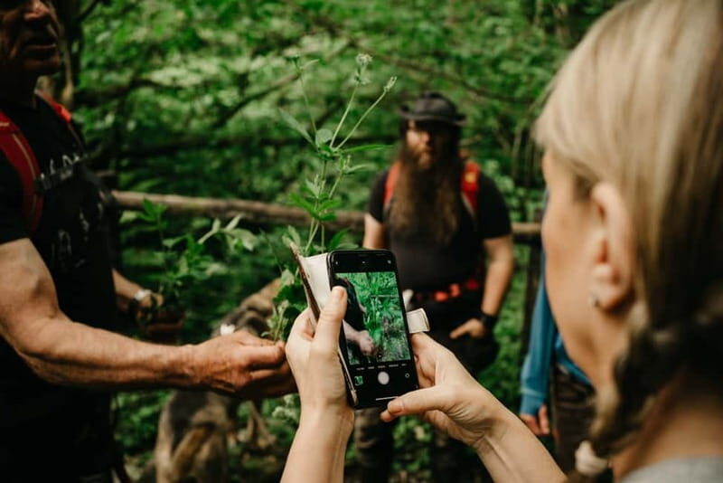 Private Hike: Brecon Beacons Henrhydd Falls Plus Foraging - Why It’s a Great Value