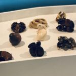 Private Jewish Museums and Jewish Quarter Tour Vienna - Final Thoughts