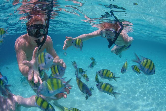 Private Luxury Sailing Cruise in Los Cabos with Lunch and Open Bar - Highlights of the Experience