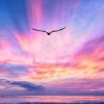 Private Luxury Sunset Cruise in Waikiki - What’s Included and What’s Not