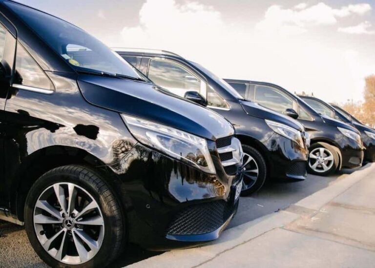 Private Paris City Tour with Louvre Museum Visit - The Panoramic Drive: Seeing Paris in Style