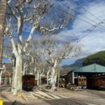 PRIVATE Port de Sóller, Sóller, and Sa Foradada Sunset Tour - What to Expect from the Tour