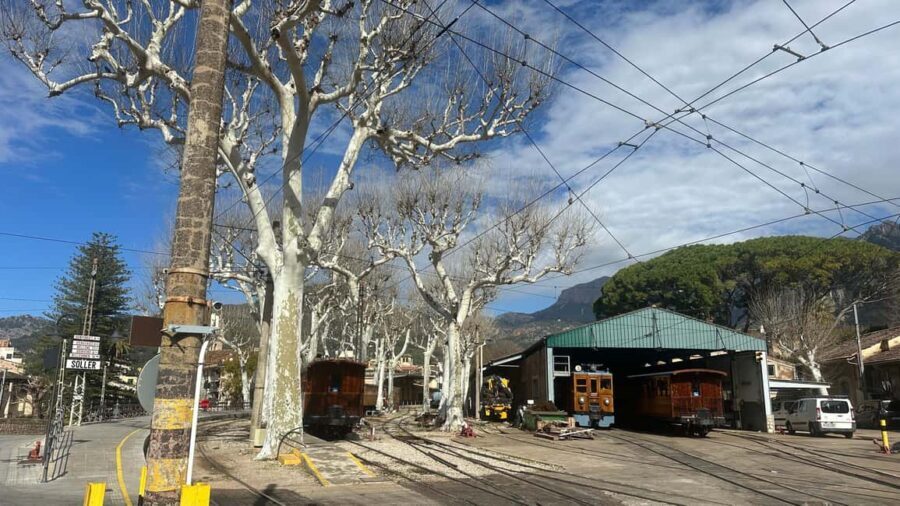 PRIVATE Port de Sóller, Sóller, and Sa Foradada Sunset Tour - What to Expect from the Tour