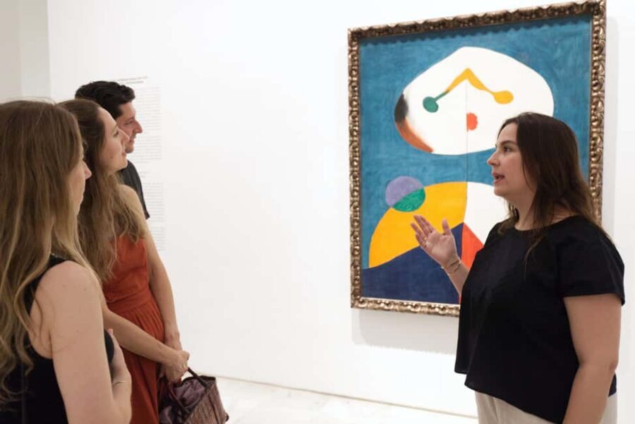 Private Reina Sofía Tour with Pickup & Drinks on a Terrace - Who Will Enjoy This Tour Most?