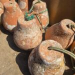 Private Tavira Jeep Tour - Salt Pans, Nature & Santa Luzia - What to Expect During the Tour