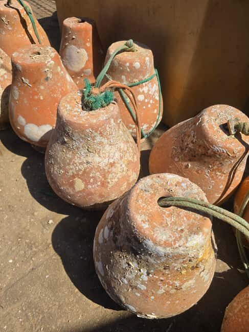 Private Tavira Jeep Tour - Salt Pans, Nature & Santa Luzia - What to Expect During the Tour