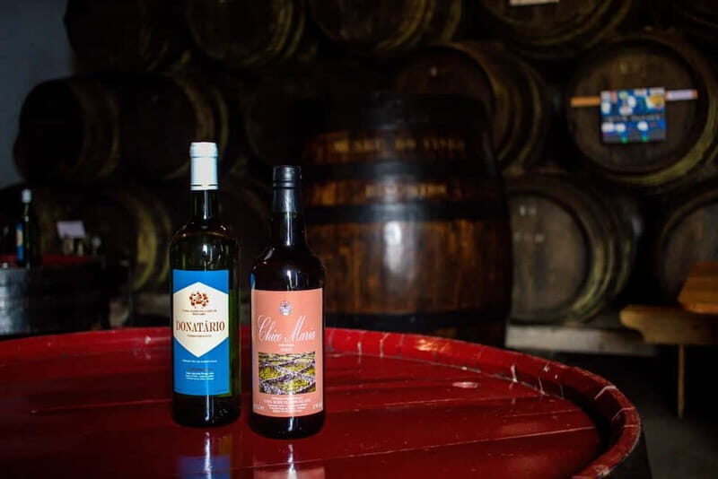 Private Terceira Island Caves: Lava Route - entrances & wine - An In-Depth Look at What You Can Expect