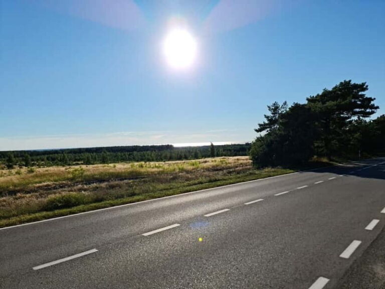 Private Tour: Amber Catching in Curonian Spit from Klaipeda - The Complete Experience: What to Expect on the Tour