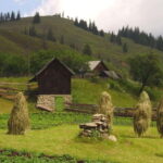 Private Tour from Bucharest to Painted Monasteries-UNESCO - What to Expect from the Experience