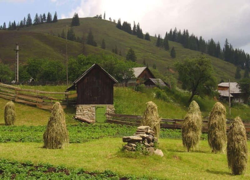 Private Tour from Bucharest to Painted Monasteries-UNESCO - What to Expect from the Experience