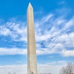 Private Tour of Washington DC for Groups of Up to 7 People - Who Will Love This Tour?