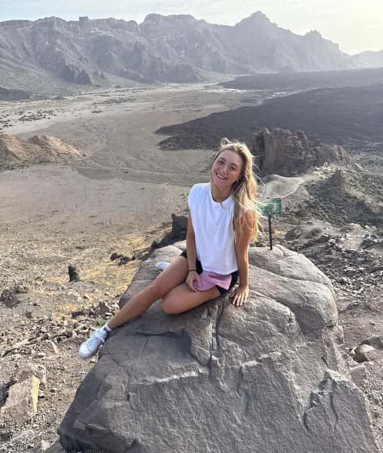 Private tour Tenerife: Teide National Park + Restaurant - Comfort, Transportation, and Timing