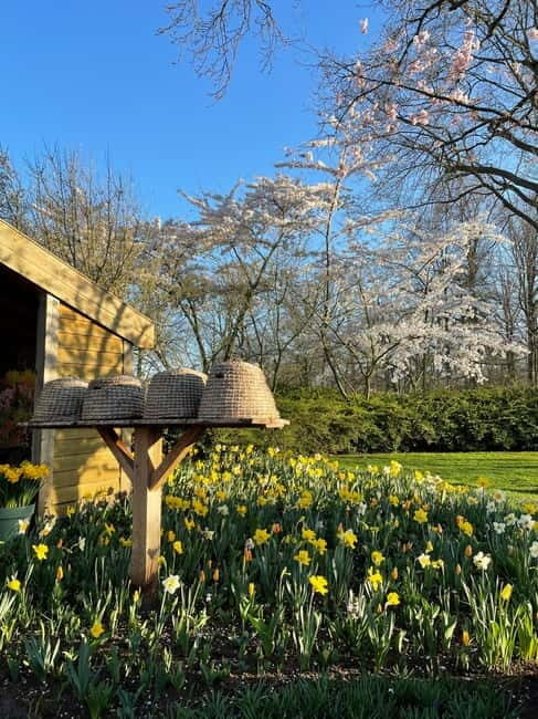 Private Tour, Tesla from Amsterdam: Keukenhof & Tulip Fields - The Experience: What to Expect