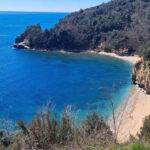 Private tour to Montenegro, Perast, Kotor and Budva - Transportation & Overall Experience