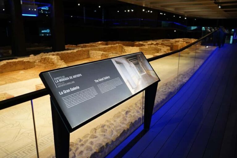 Private Tour to the Roman Villa of Antiopa in Malaga by Electric Car - Practical Considerations