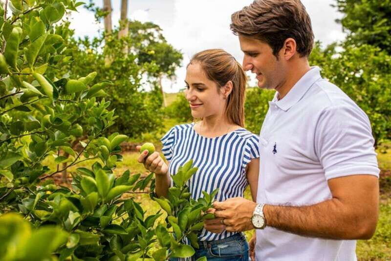 Private Tour Uxmal Land Rover Vintage safari & Mayan brunch - What Makes This Tour Stand Out?