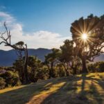 Private Tour VIP - What to Expect From Your Madeira Private Tour