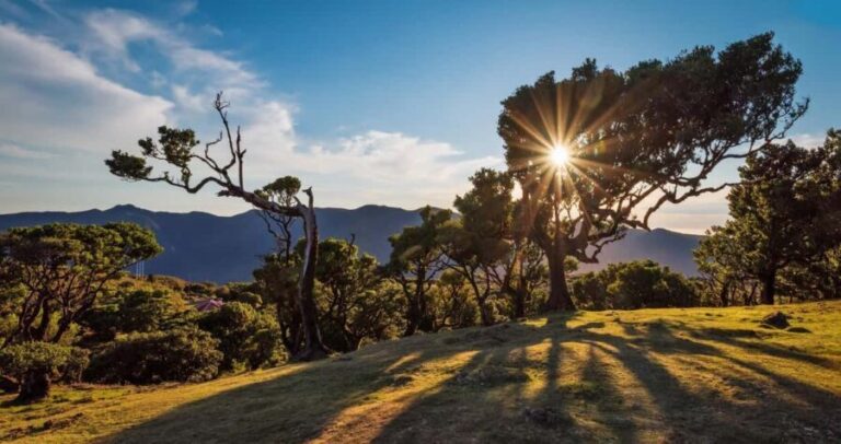 Private Tour VIP - What to Expect From Your Madeira Private Tour