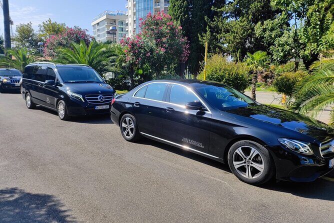 Private Transfer from Tivat Airport to Kotor - What To Expect on the Day