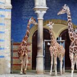 Private Transport to Berlin Zoo with Skip-the-line Ticket - What to Expect During Your Visit