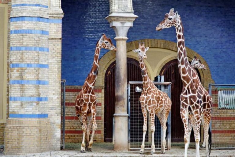 Private Transport to Berlin Zoo with Skip-the-line Ticket - What to Expect During Your Visit