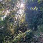 Private trekking of the 3 Towers with aperitif at Loggia - What’s Included & Practical Tips