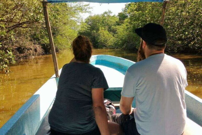-Private Turtle Release Lagoon Boat Ride &High Divers Exprce - Practical Considerations