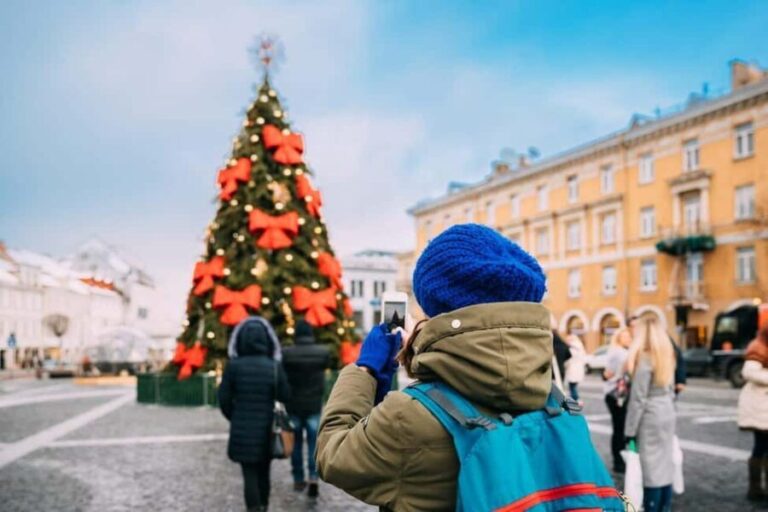 Private Walking Tour Around Vilnius During Christmas Time - Starting Point: Cathedral Square  