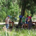 Private Walking Tour to St. John's Botanical Garden - What You Can Expect from the Experience