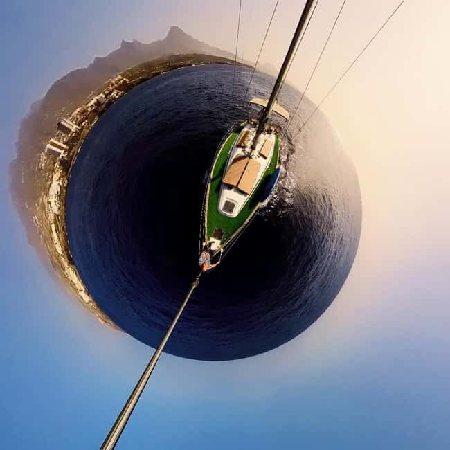 Private Whales & Dolphins Excursion: for you exclusively! - Why Travelers Choose This Tour