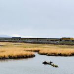 Private Whittier Cruise Transfer & Scenic Tour for Large Groups - What the Reviews Say: Guides and Scenery