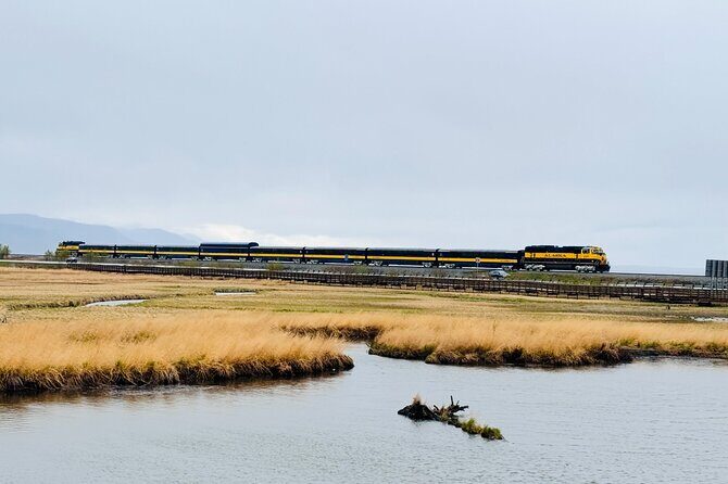 Private Whittier Cruise Transfer & Scenic Tour for Large Groups - What the Reviews Say: Guides and Scenery