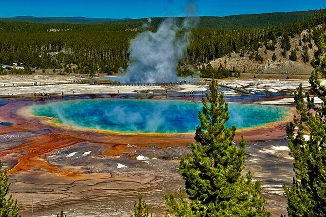 Private Yellowstone Hot Spots Tour From West Yellowstone - Why This Tour Stands Out