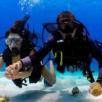 Professional Guided Scuba Diving: Swim with colorful fish. - What Makes This Tour Stand Out