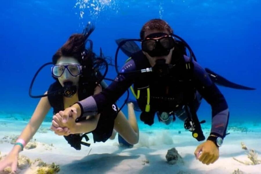 Professional Guided Scuba Diving: Swim with colorful fish. - What Makes This Tour Stand Out